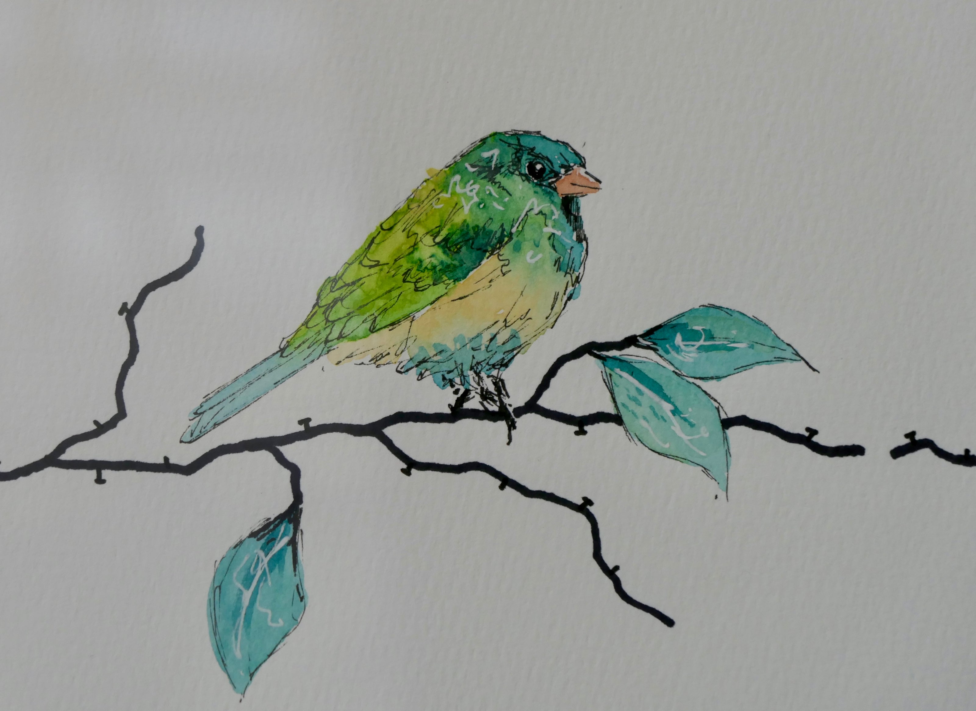 Birds | Neuronal dendrites and synapses