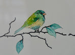 Birds | Neuronal dendrites and synapses