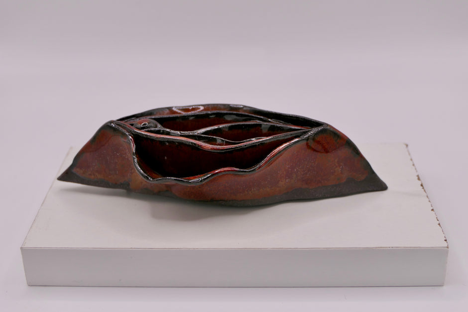 Dark vulva