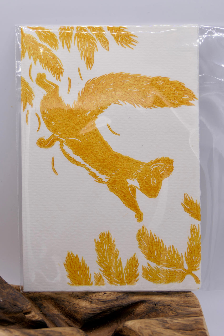 Squirrel | Greeting cards