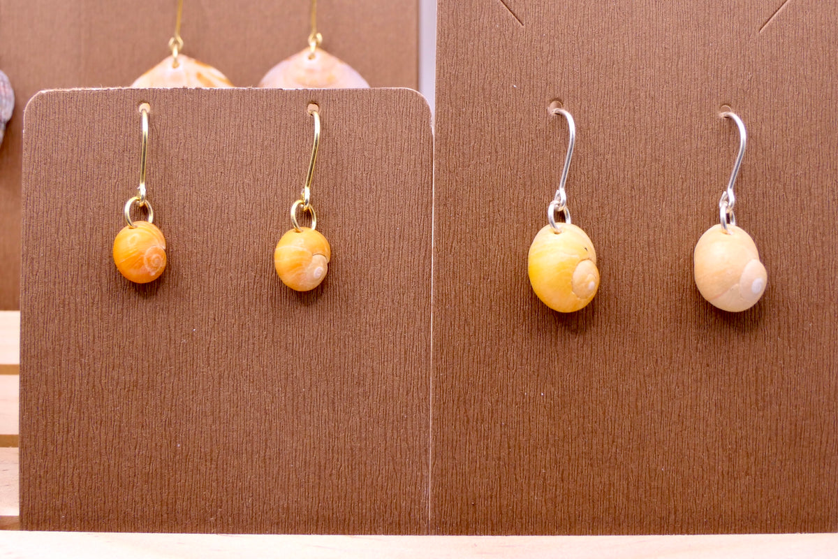 Yellow Beach snails | Earrings