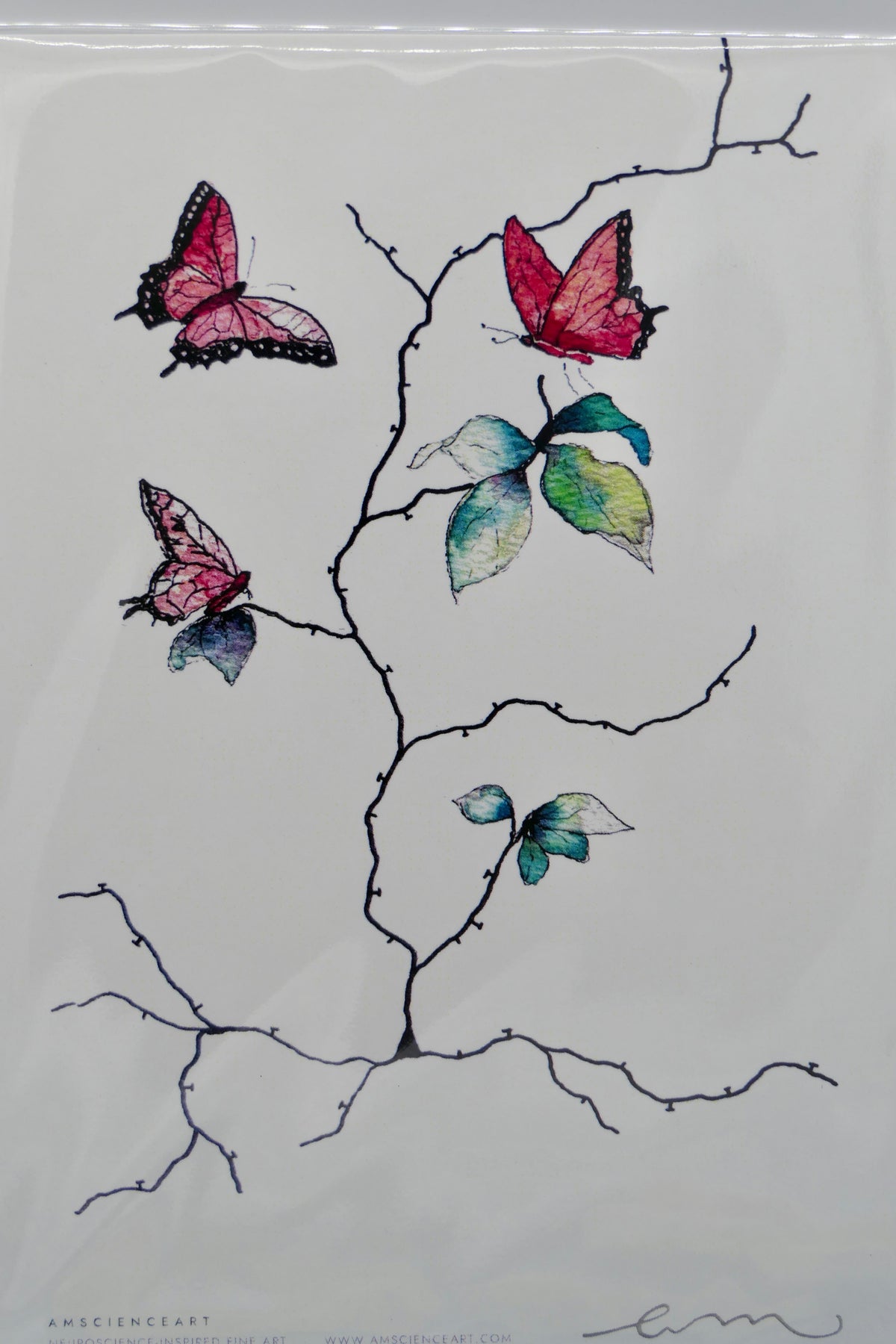 Butterflies | Neuronal dendrites and synapses