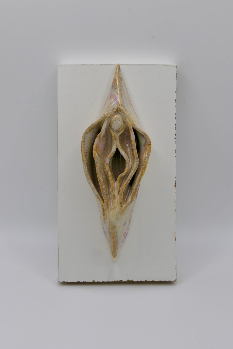 Light Vulva