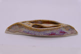 Beige Vulva