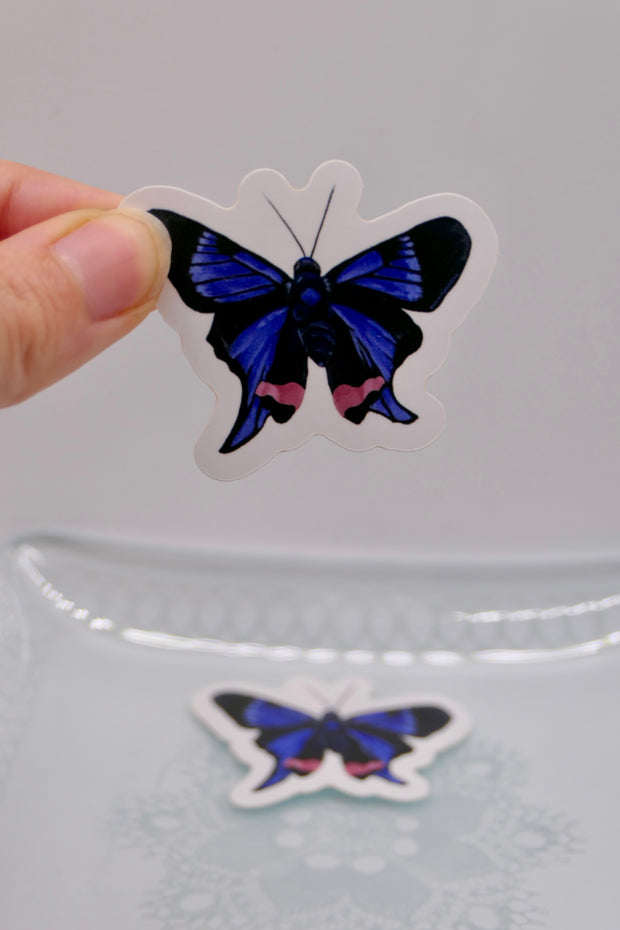 Butterfly sticker