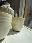 Light yellow cups