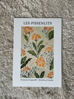 Les pissenlits