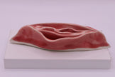 Peachy Vulva