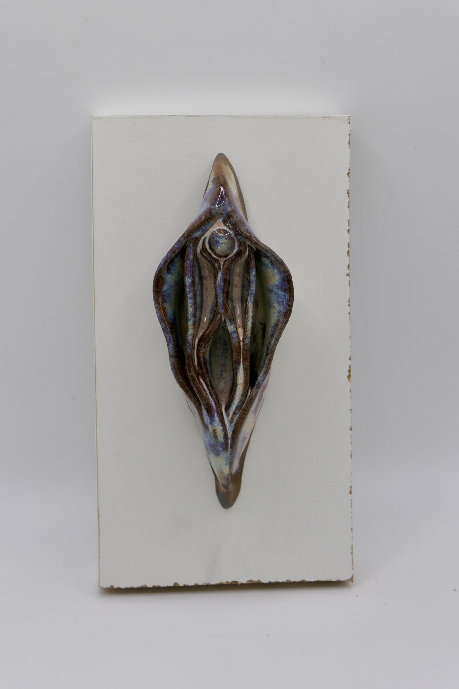 Vulva dark clay