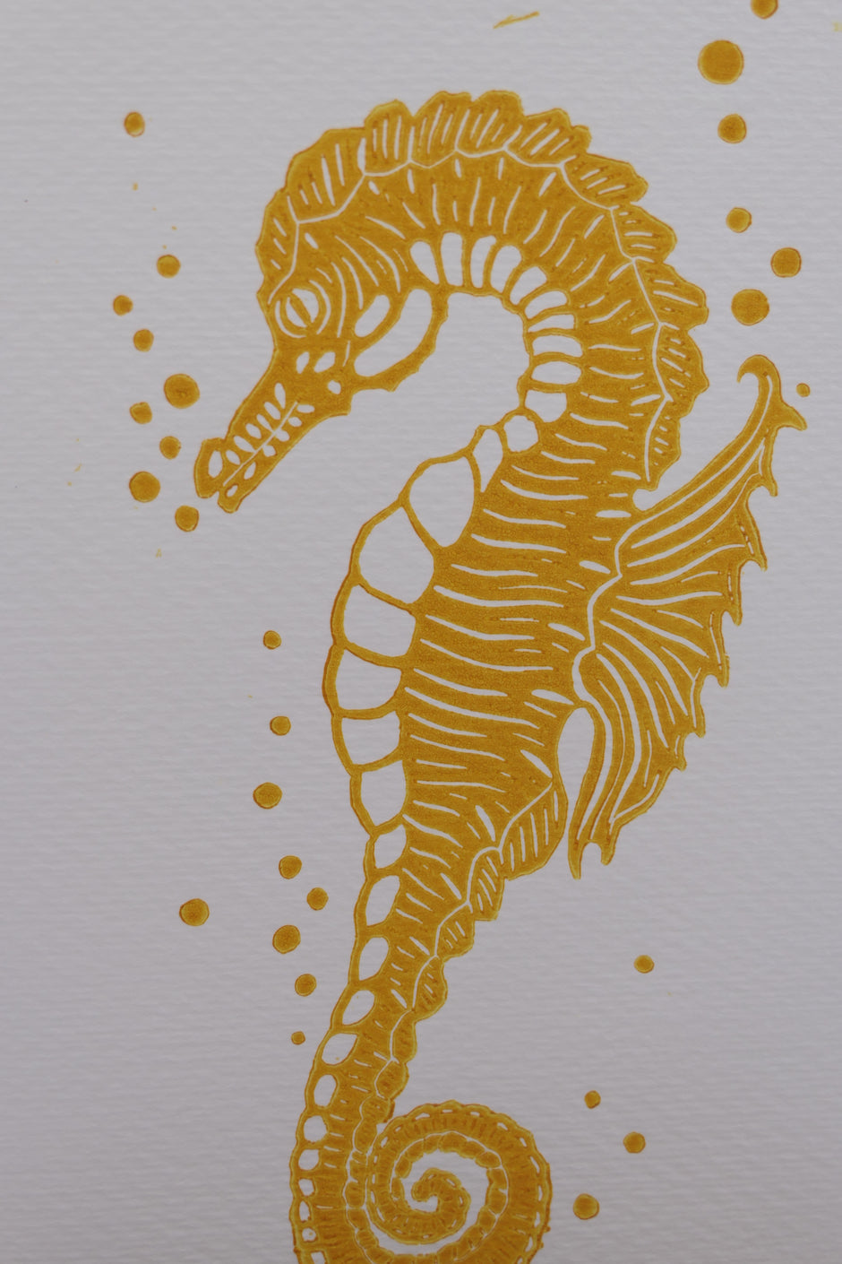 Seahorse | Greeting cards