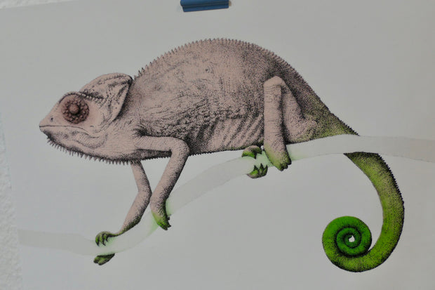 Naked chameleon