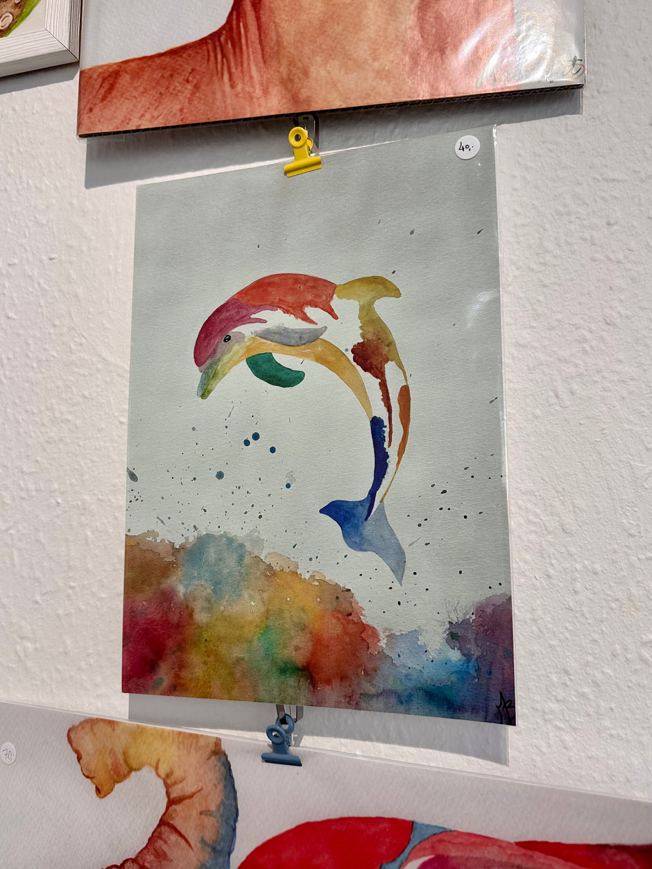 Dolphin