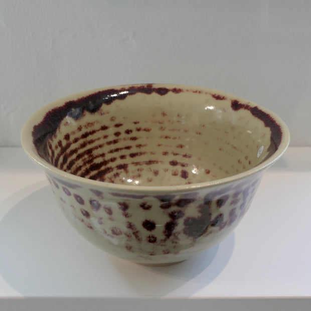 Turtle bowl