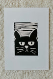 Le chat