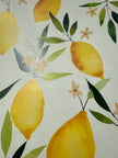 Les citrons