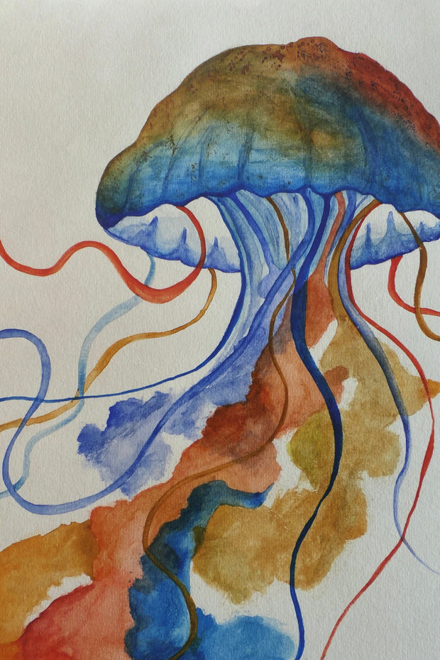 Jelly fish