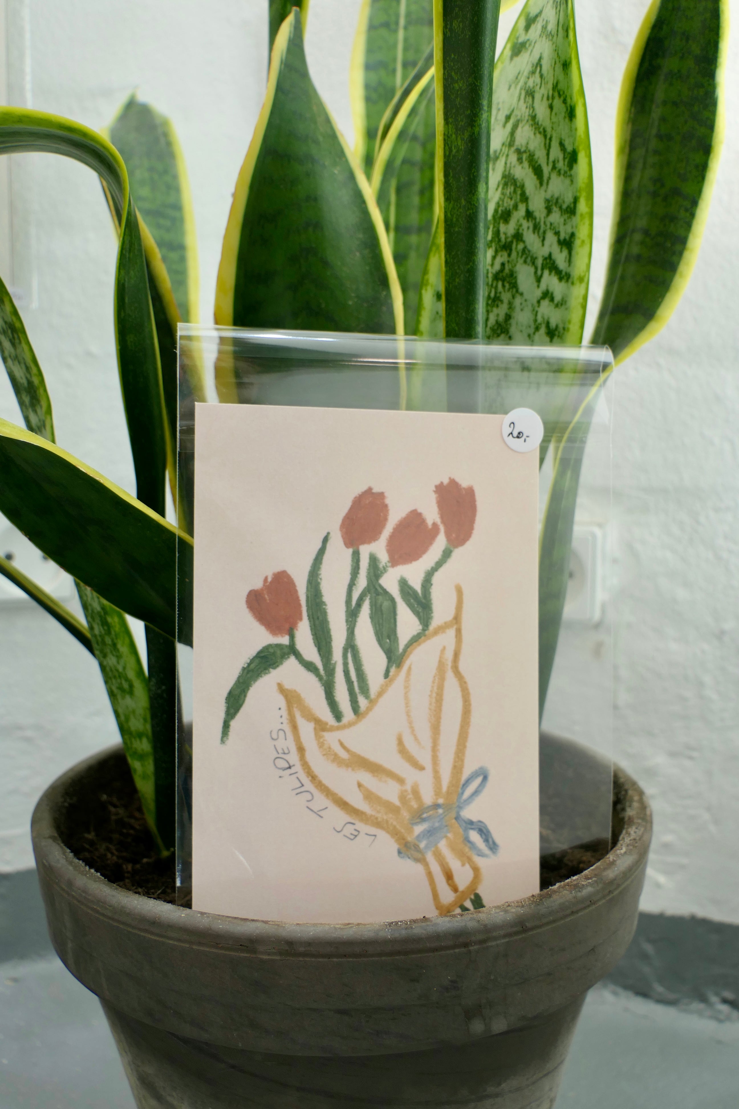 Les tulipes