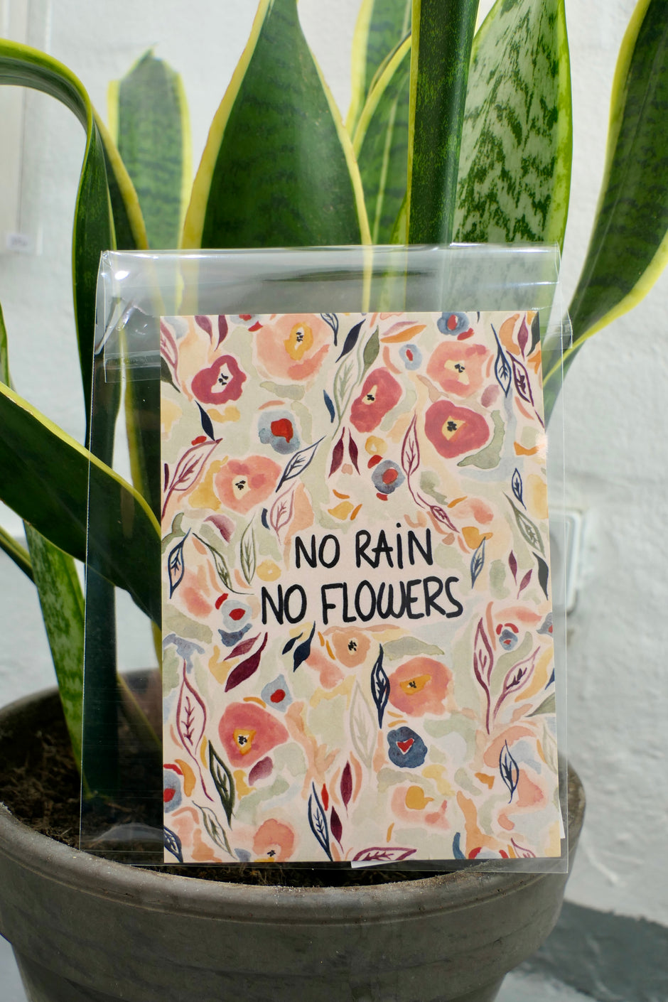 No rain No flowers