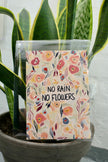 No rain No flowers