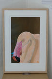 Flamingo – Den Bolivianske Ørken