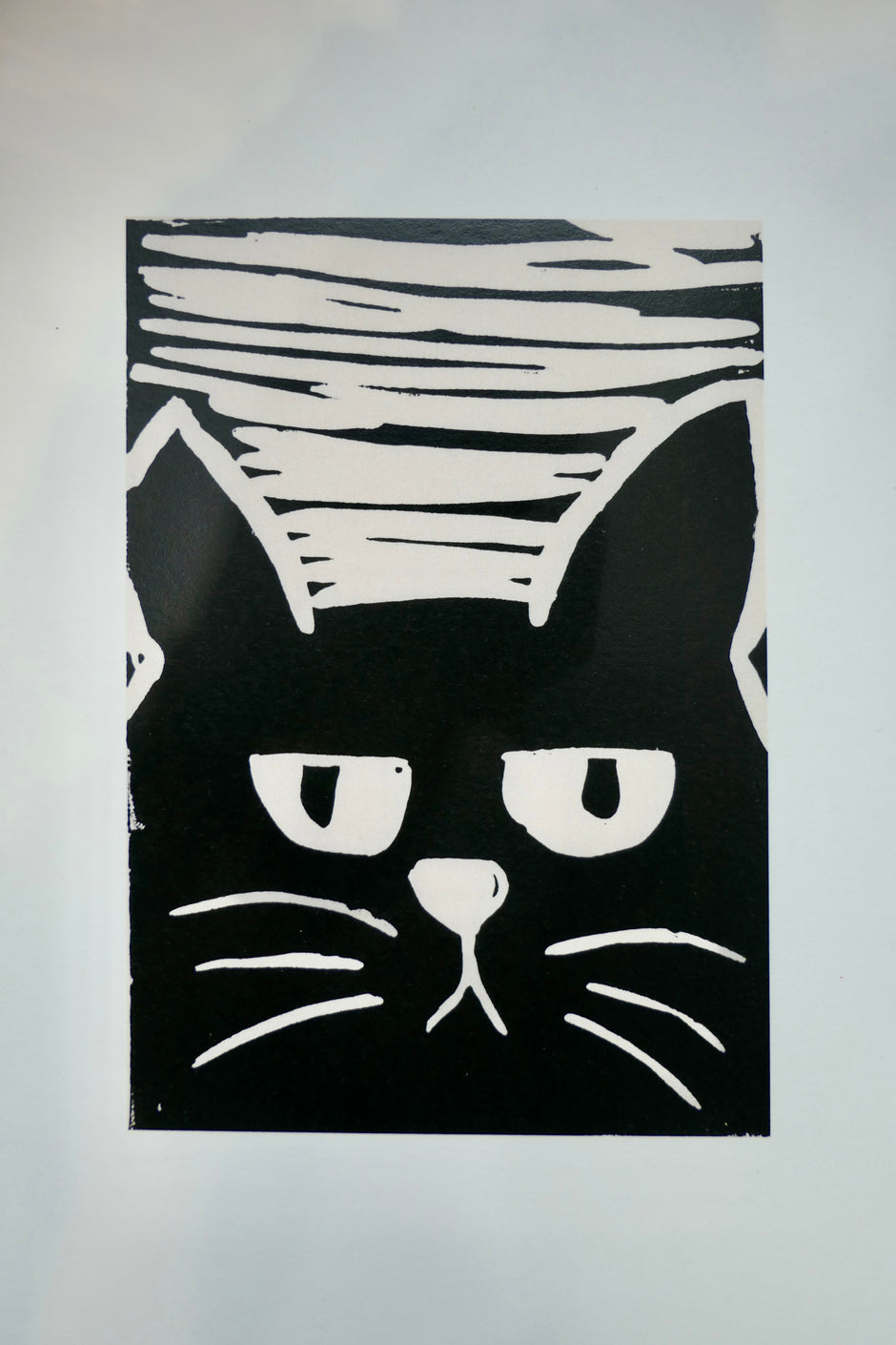 Le chat