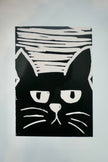 Le chat