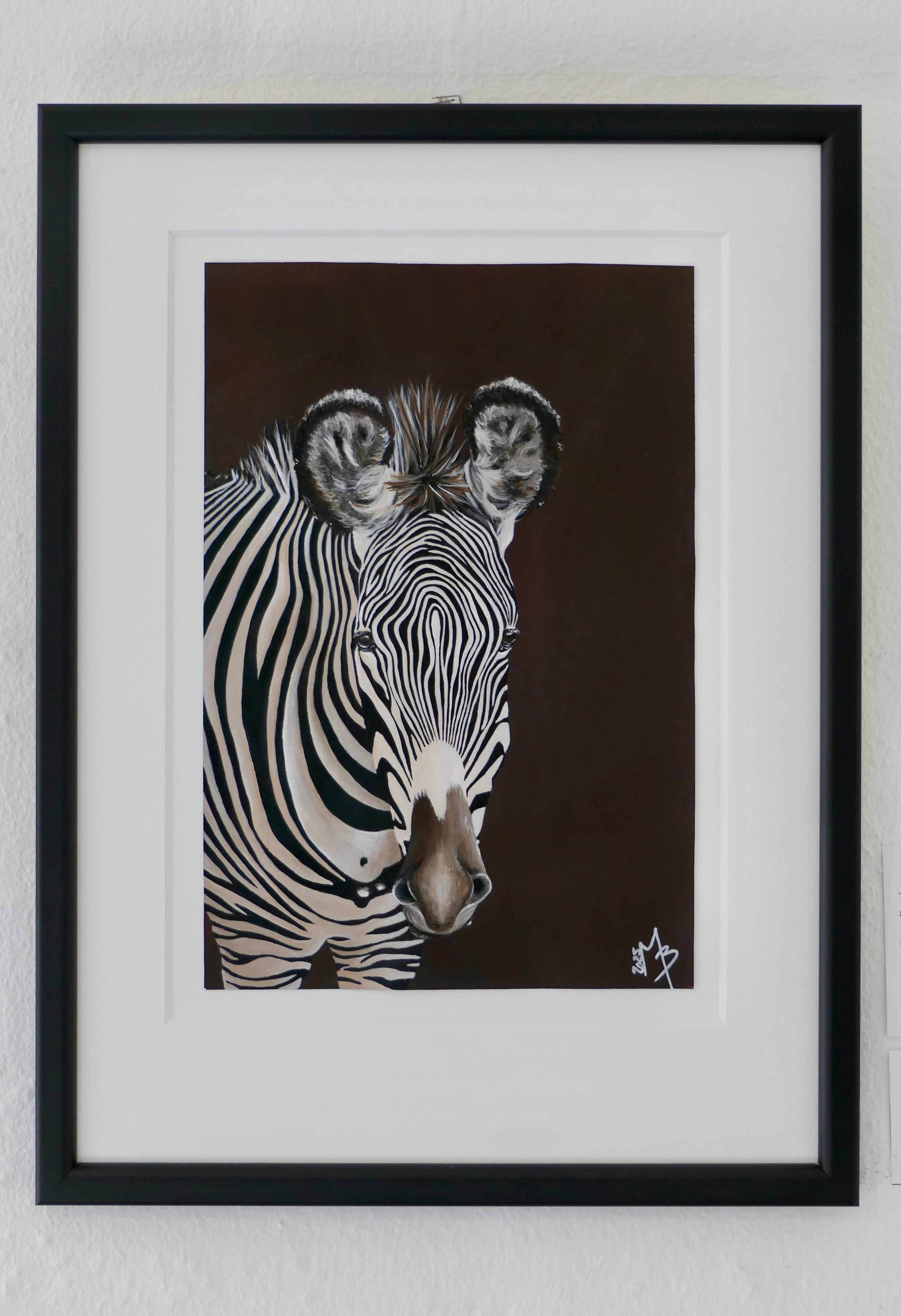 Grevyzebra