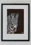 Grevyzebra