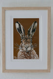 Hare