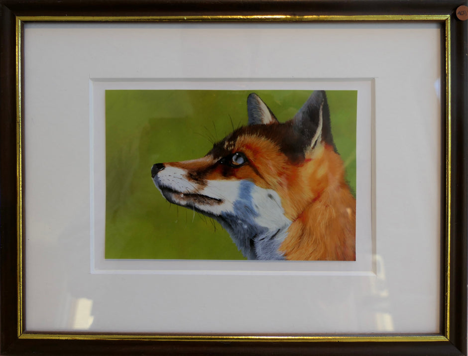 Fox Print