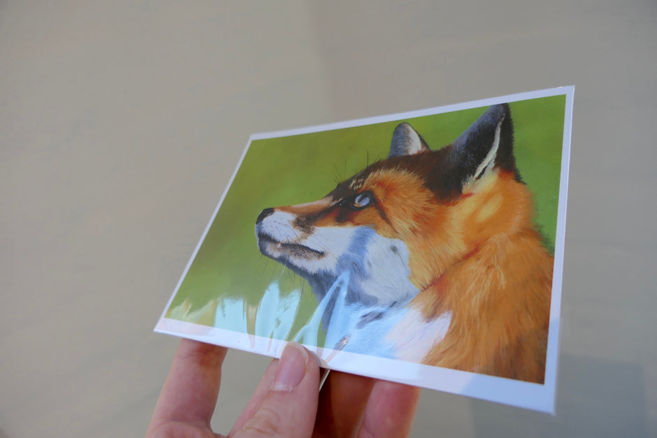 Fox Print