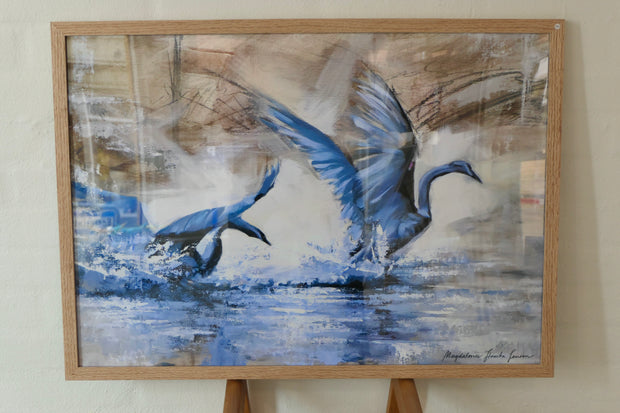 Playing Swans Print