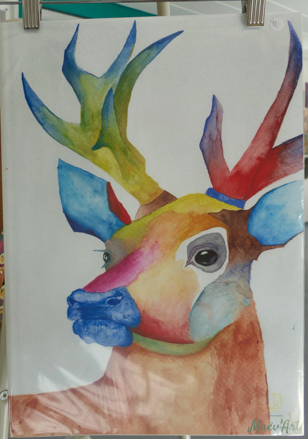 Deer