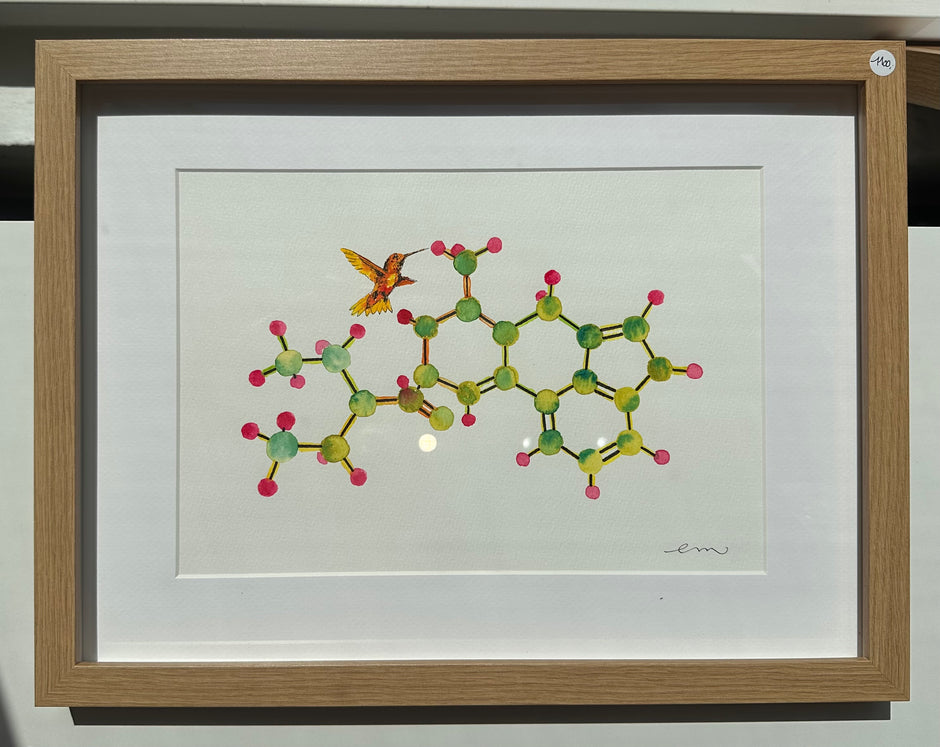 Lysergic acid diethylamide (LSD)