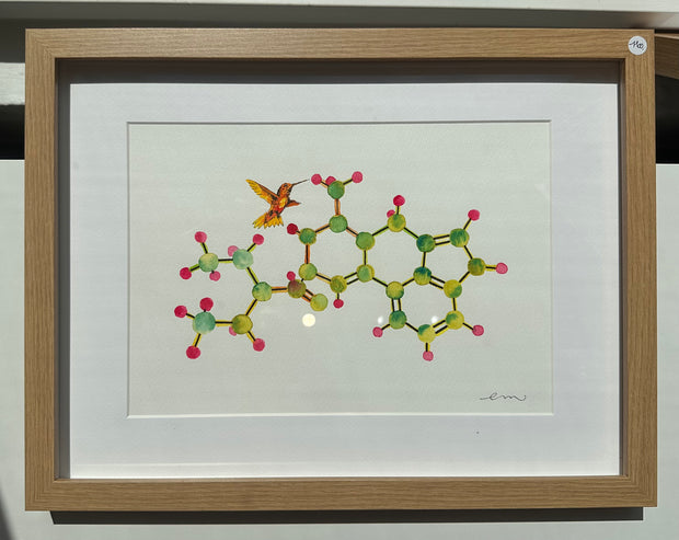Lysergic acid diethylamide (LSD)
