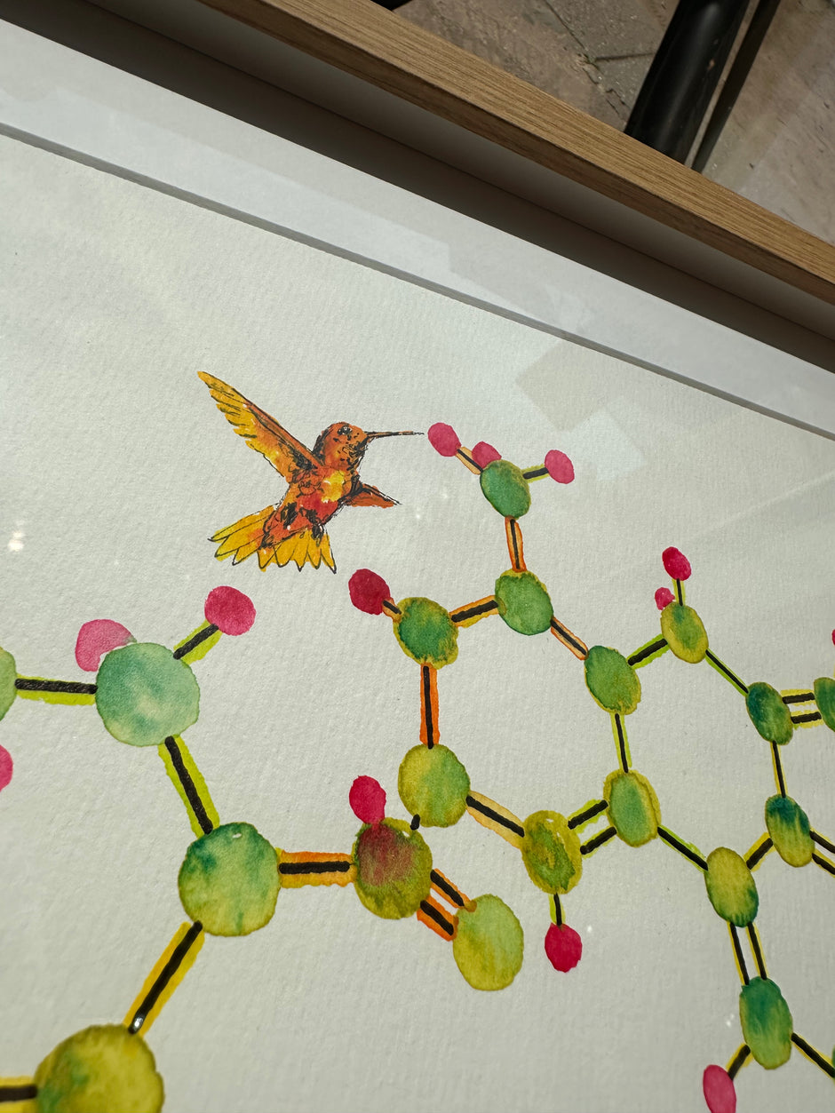 Lysergic acid diethylamide (LSD)