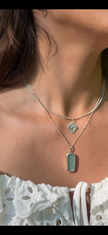 Cardamine hirsuta | Silver pendant
