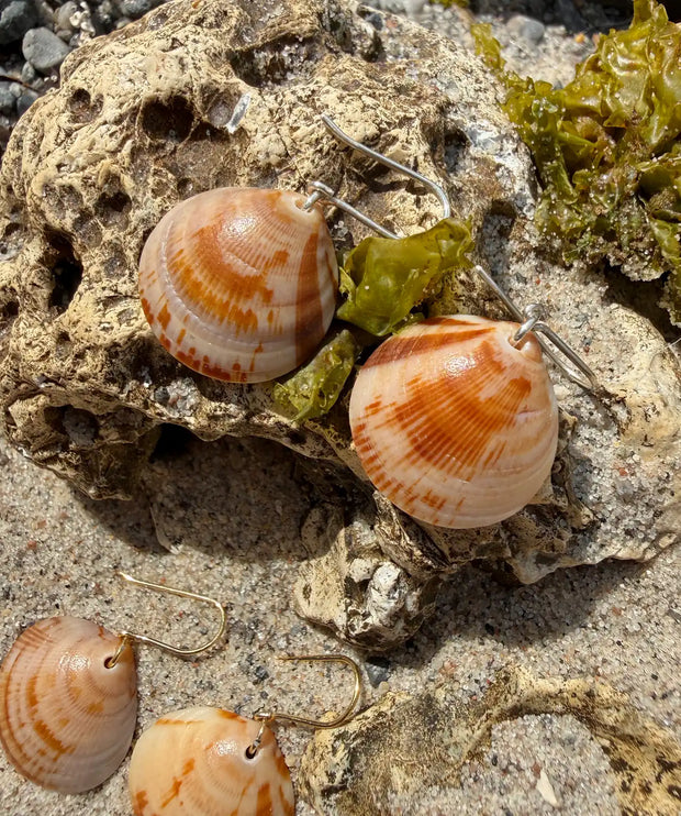 Seashell | Earrings