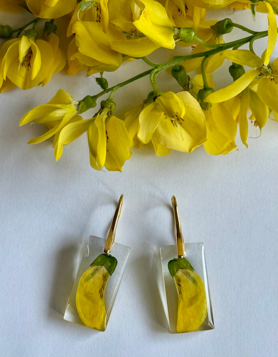 Golden Rain Tree earrings