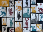 Seahorse | Greeting cards