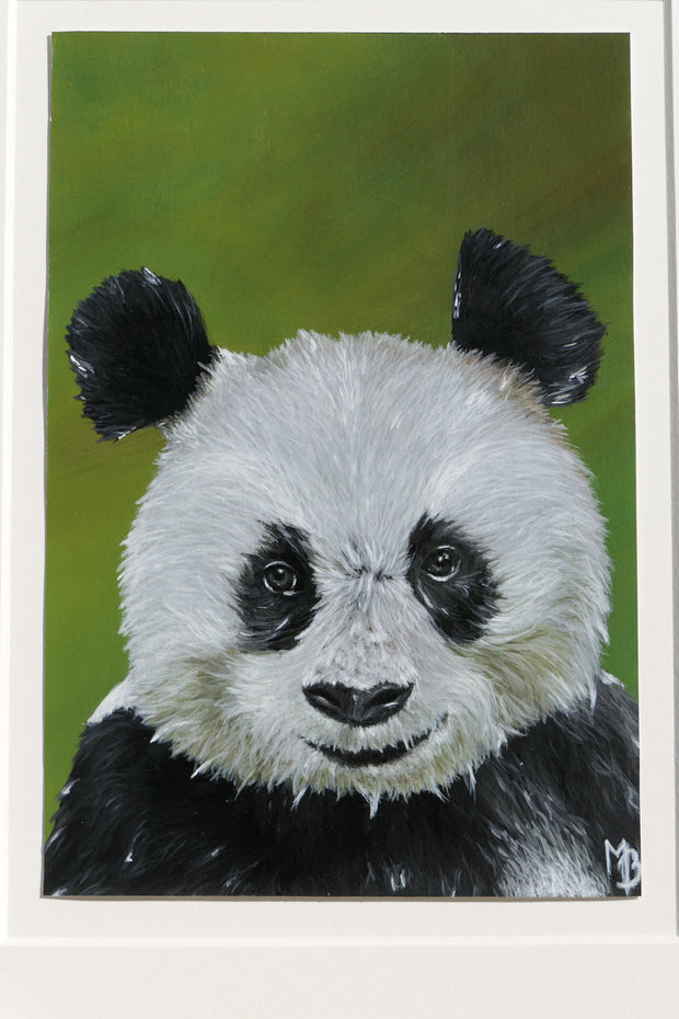 Panda