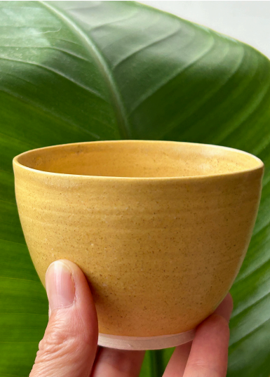 Introduction to ceramics | July 8th/16th