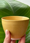 Introduction to ceramics | July 8th/16th