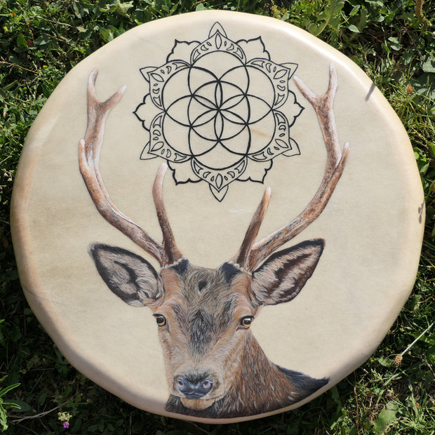 Deer drum