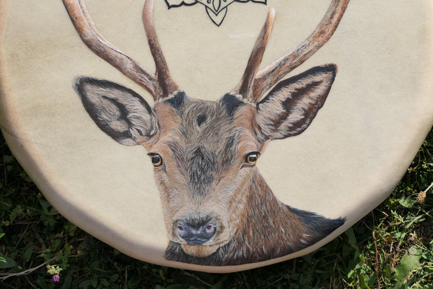 Deer drum